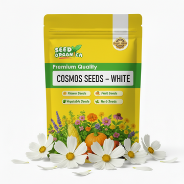 Cosmos Seeds – White