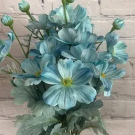 Cosmos Seeds – Teal Blue
