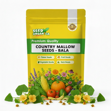 Country Mallow Seeds – Bala