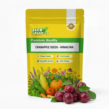 Crabapple Seeds - Himalayan