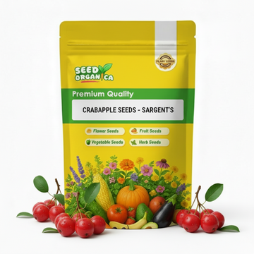 Crabapple Seeds - Sargent's