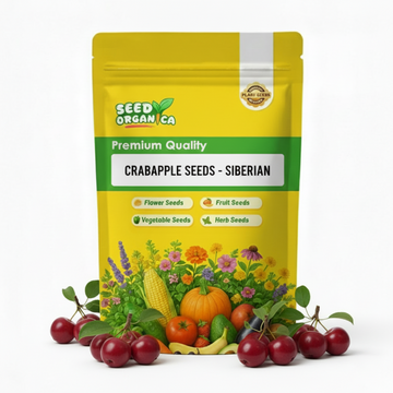 Crabapple Seeds - Siberian