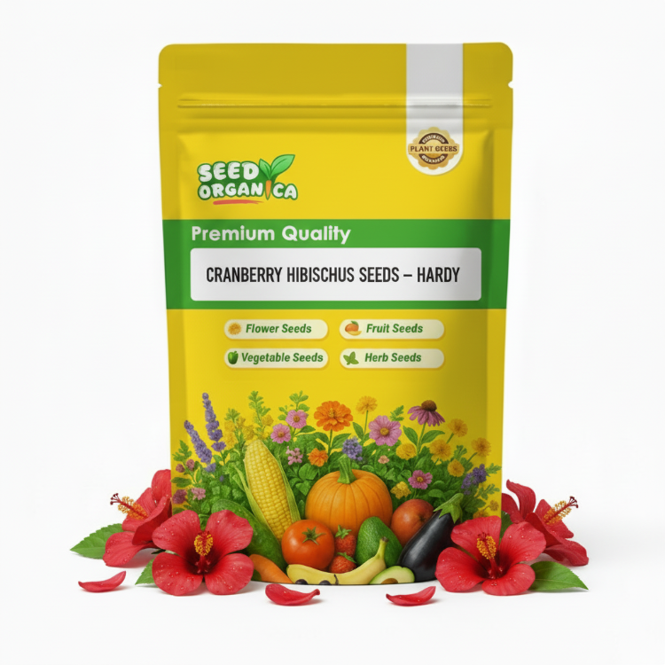 Cranberry Hibiscus Seeds – Hardy