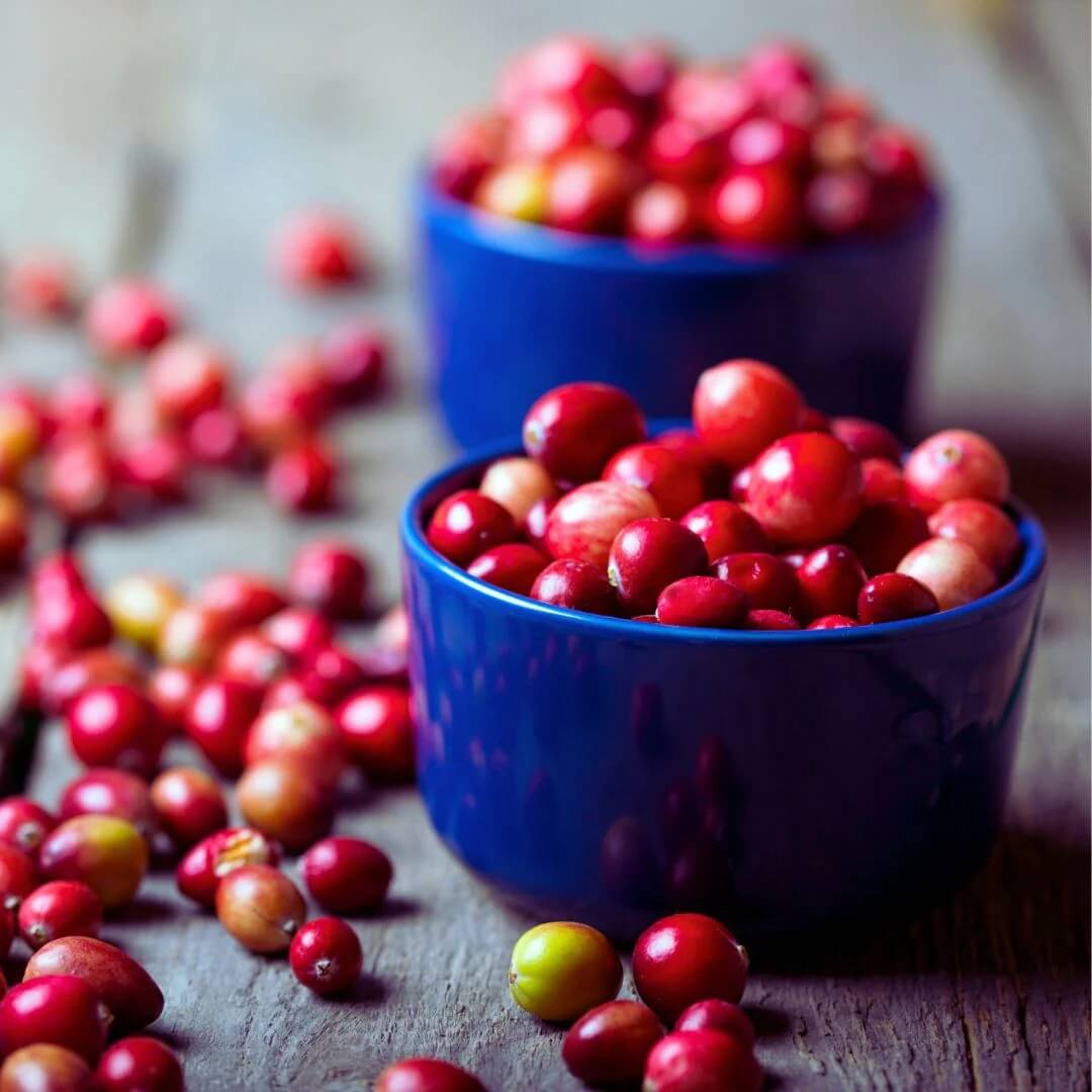 Cranberry Seeds