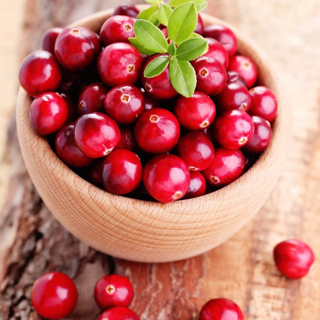 Cranberry Seeds