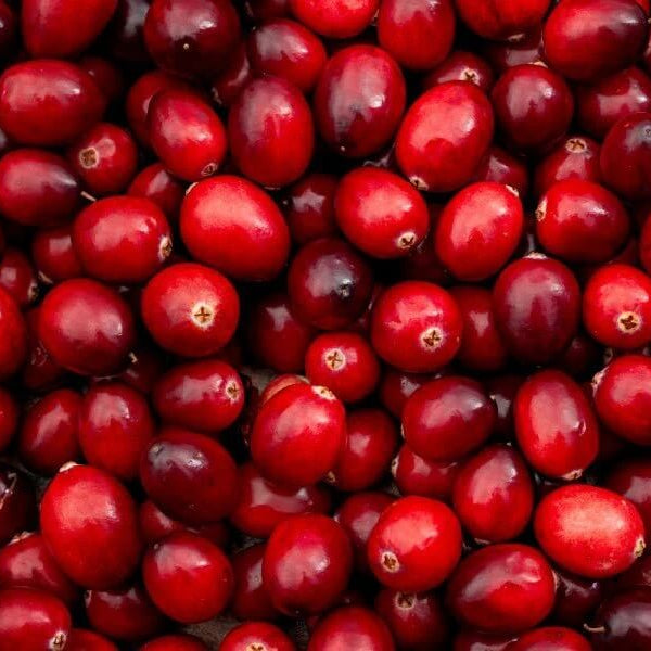 Cranberry Seeds