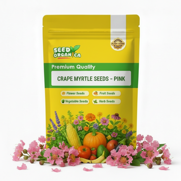 Crape Myrtle Seeds – Pink