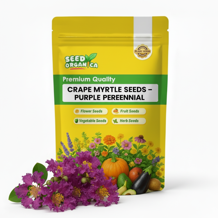 Crape Myrtle Seeds – Purple Perennial