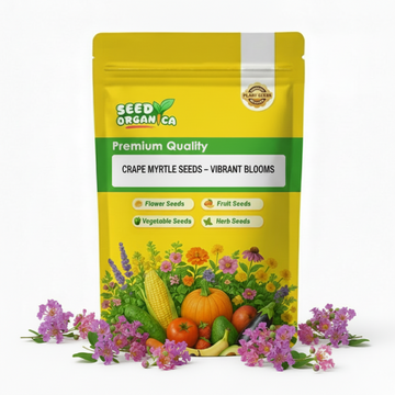 Crape Myrtle Seeds – Vibrant Blooms