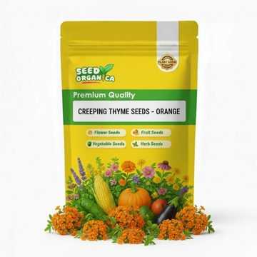 Creeping Thyme Seeds – Orange