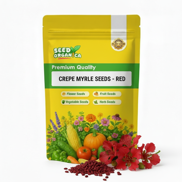 Red 4649 Red Crepe Myrtle Seeds | Flowering Tree