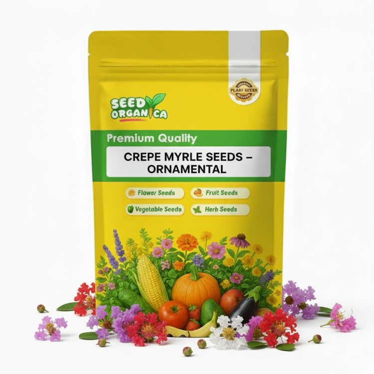 Crepe Myrtle Seeds – Ornamental