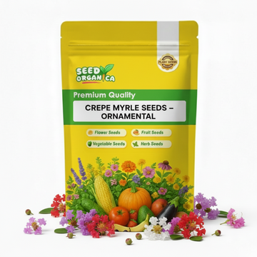 Crepe Myrtle Seeds – Ornamental