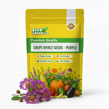 Crepe Myrtle Seeds – Purple