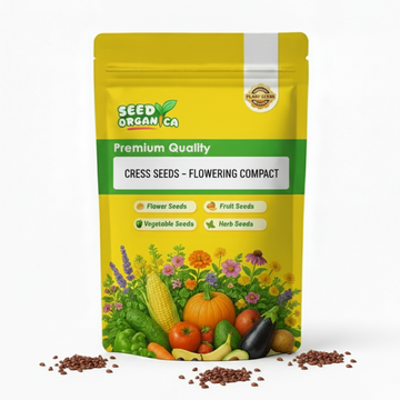 Cress Seeds – Flowering Compact