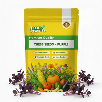 Cress Seeds – Purple