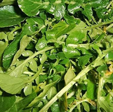 Cress Seeds – Wrinkled Crinkled