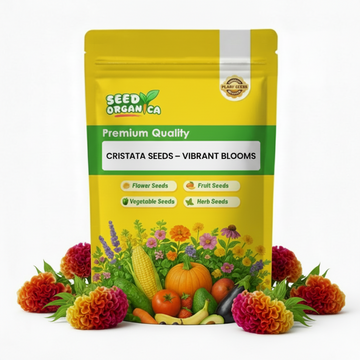 Cristata Seeds – Vibrant Blooms