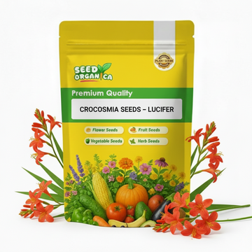 Crocosmia Seeds – Lucifer