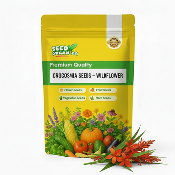 Crocosmia Seeds – Wildflower