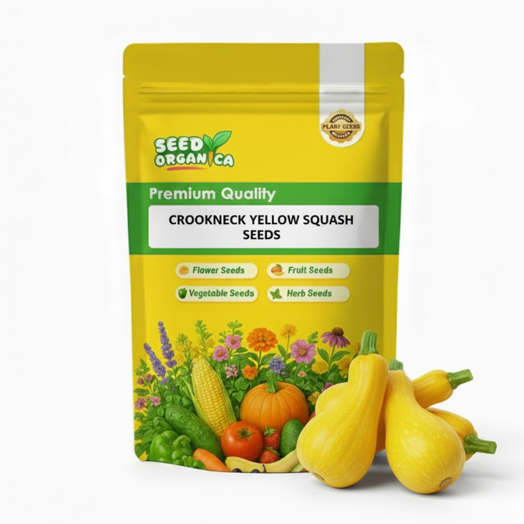 Crookneck Yellow Squash Seeds