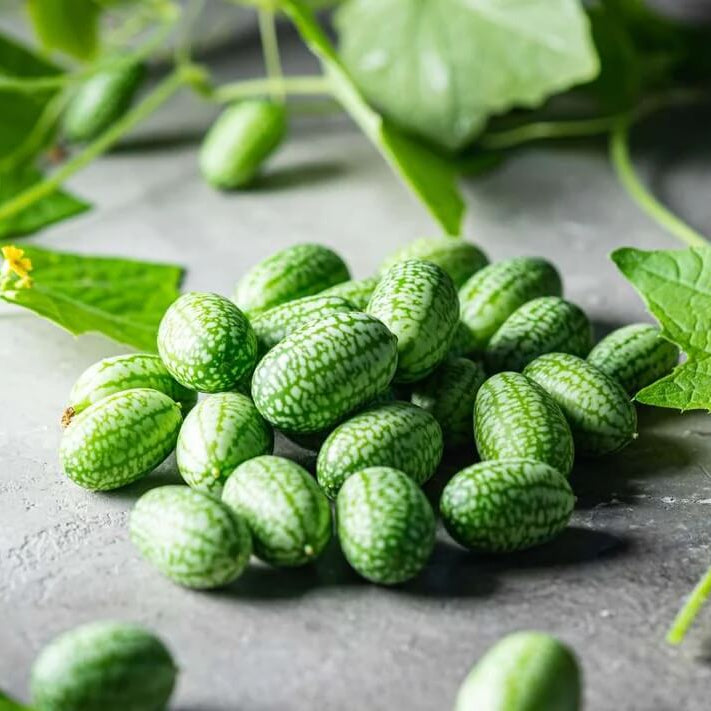Cucamelon Seeds For Planting
