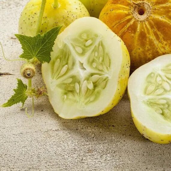 Cucumber Seeds – Lemon