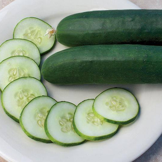 Cucumber Seeds – Army Green