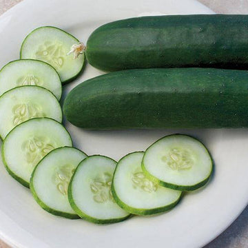 Cucumber Seeds – Army Green