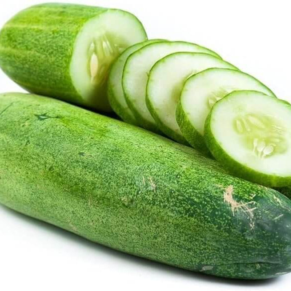 Cucumber Seeds – Cucumis Sativus