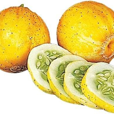 Cucumber Seeds – Lemon