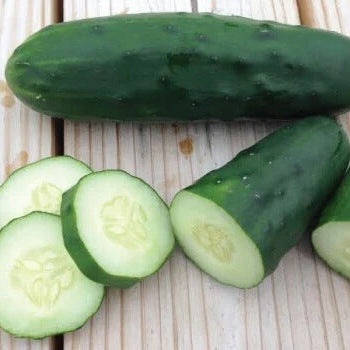 Cucumber Seeds – Marketmore 