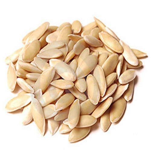 Cucumber Seeds - All In One For Home Gardens