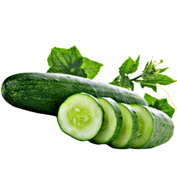 Cucumber Seeds – Vegetable