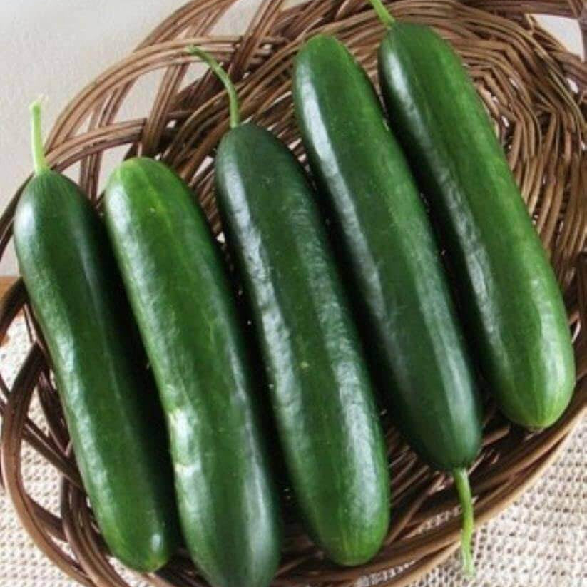 Cucumber Seeds – Army Green