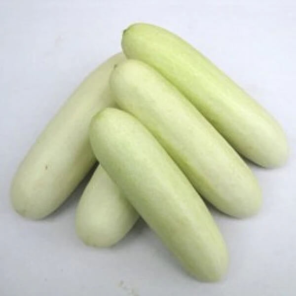 Cucumber Seeds – White