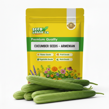 Cucumber Seeds – Armenian