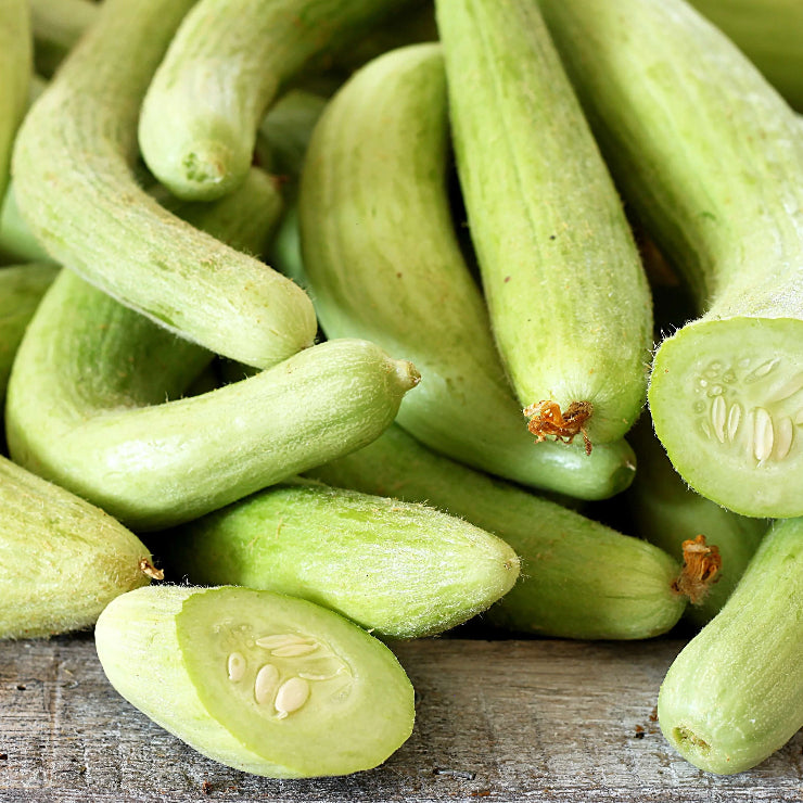 Cucumber Seeds – Armeno Yard