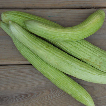 Cucumber Seeds – Armeno Yard