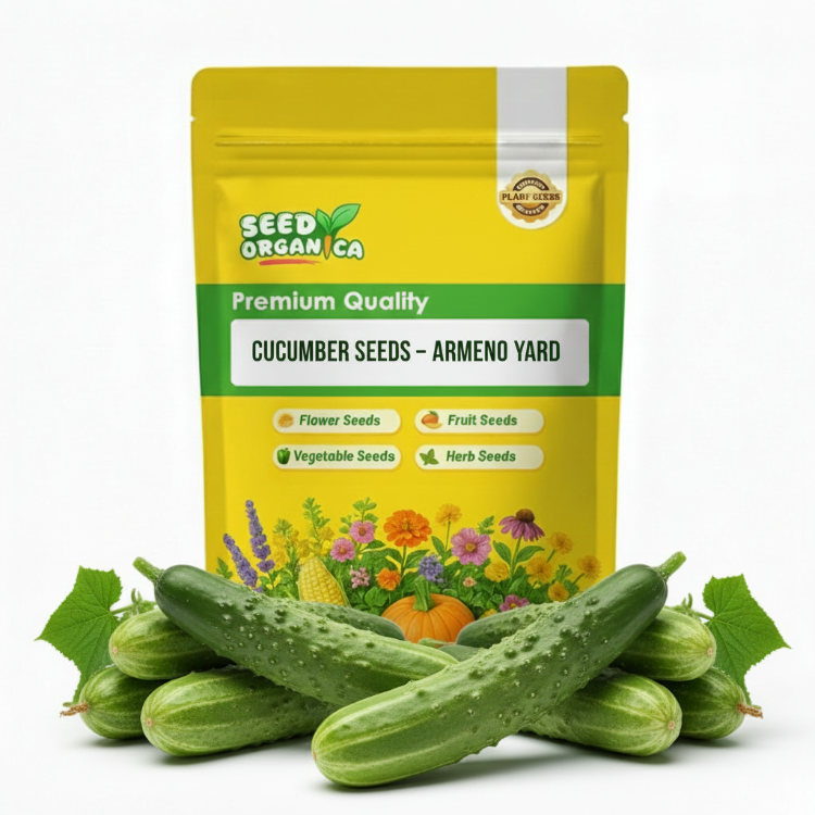 Cucumber Seeds – Armeno Yard
