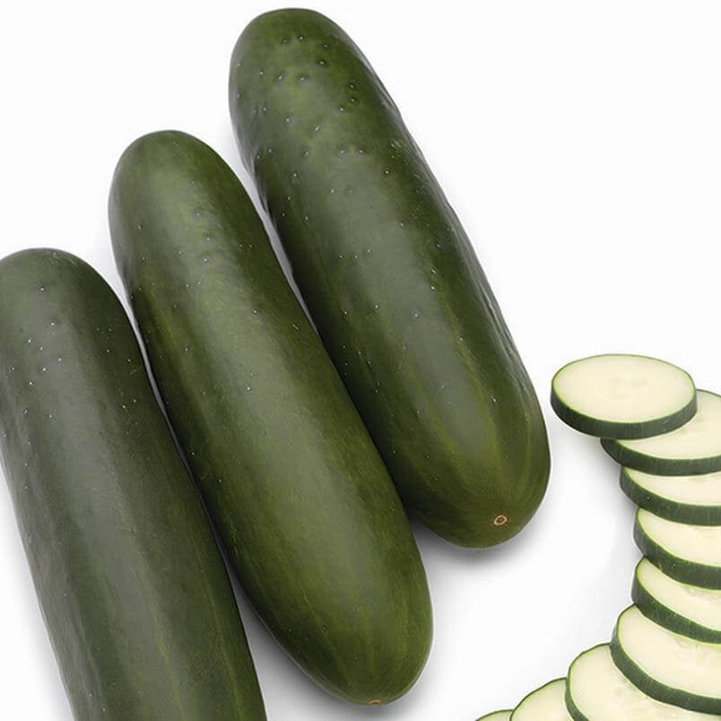 Cucumber Seeds – Army Green