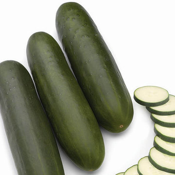 Cucumber Seeds – Army Green