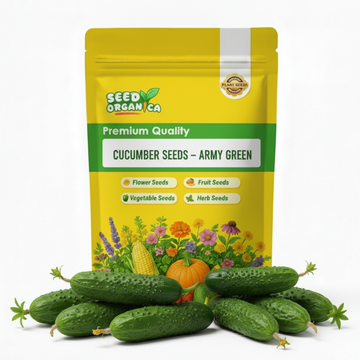 Cucumber Seeds – Army Green