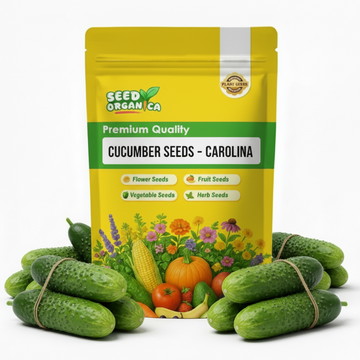 Cucumber Seeds – Carolina