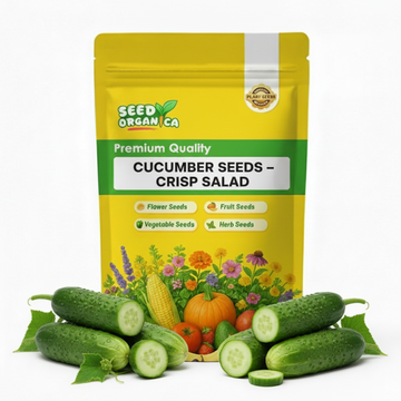 Cucumber Seeds – Crisp Salad