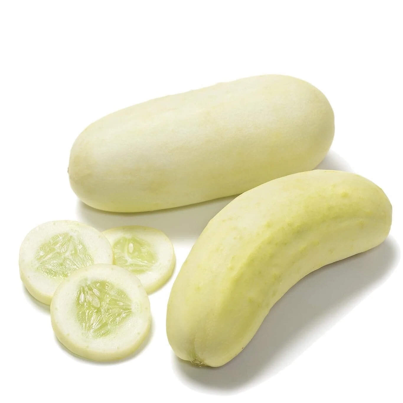 Cucumber Seeds – Crisp Salad Blonde