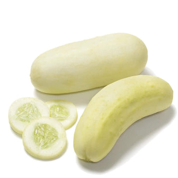 Cucumber Seeds – Crisp Salad Blonde