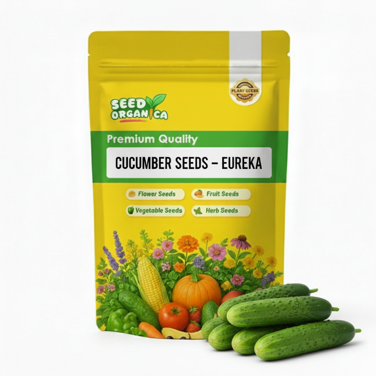 Cucumber Seeds – Eureka