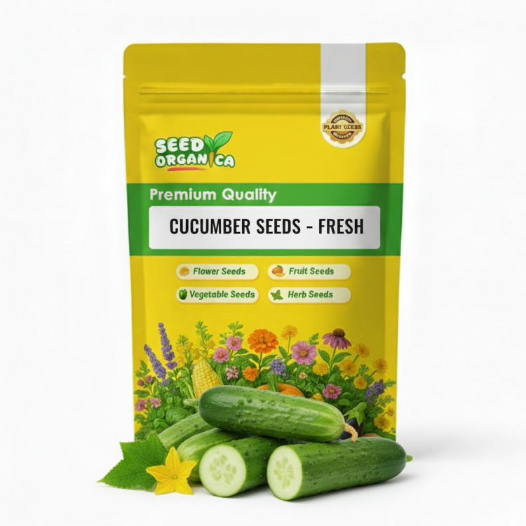 Cucumber Seeds – Fresh