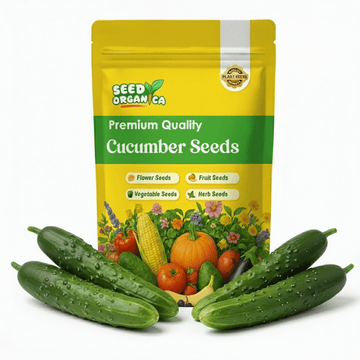 Cucumber Seeds – Japanese
